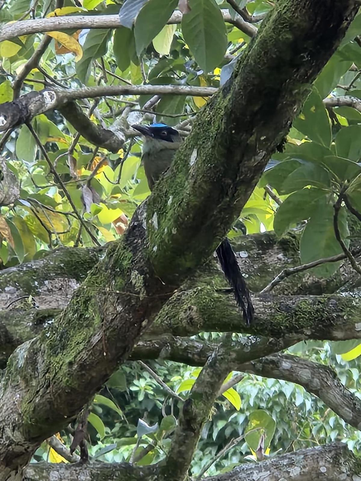 Hospedaje Campestre Providencia Βίλα Manizales Εξωτερικό φωτογραφία